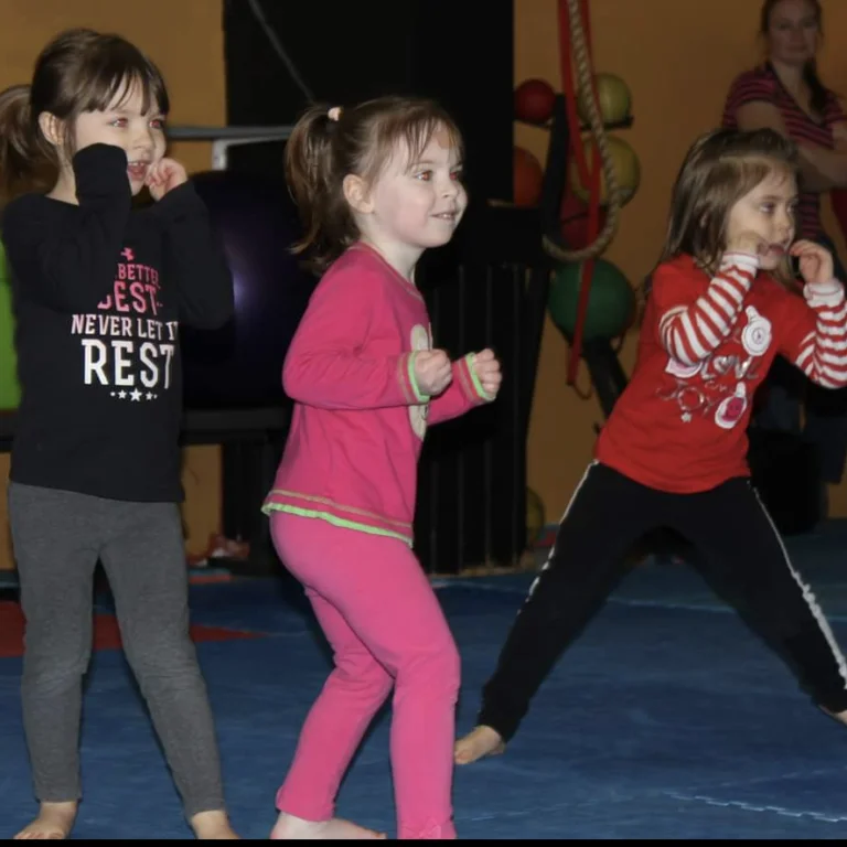 Little Ninjas
