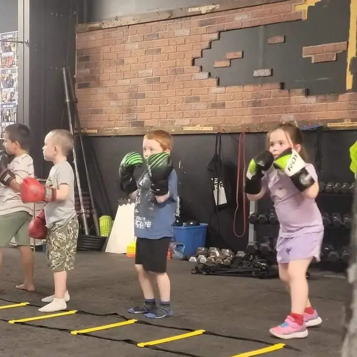 Silver Gloves